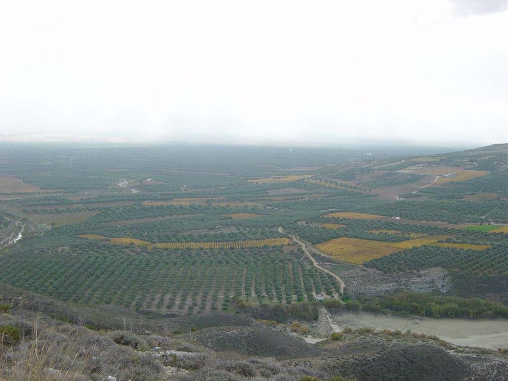 Κεφάλαιο 4: Γεωλογία της περιοχής και γεωτεχνικές παράµετροι που