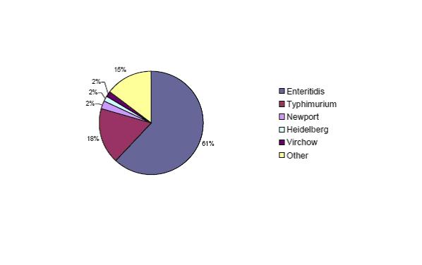 Σχήμα 3. Ορότυποι Salmonella spp, οι οποίοι απομονώθηκαν από άτομα που νόσησαν στην Ευρώπη (WHO 2004).