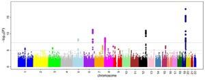 Σημαντικότητα σύνδεσης Χρωμοσώματα Οι μελέτες ευρείας σύνδεσης (GWAS )απεικονίζονται σε διάγραμμα Μανχάταν, όπου εμφανίζεται η παρουσία των γενετικών τόπων που υποδηλώνουν αυξημένο κίνδυνο εμφάνισης