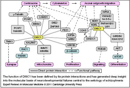 Η γνώση μας από εκτεταμένη βιοχημική ανάλυση ιστών από ασθενείς ( τομές εγκεφάλου μετά θάνατο) - metabolomic studies