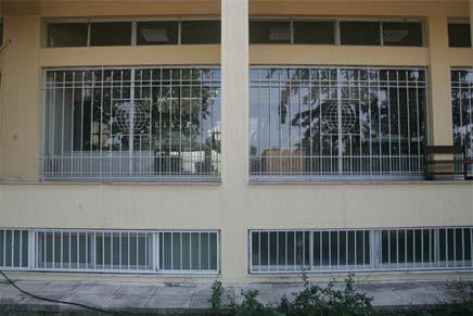 ή μηνοειδής