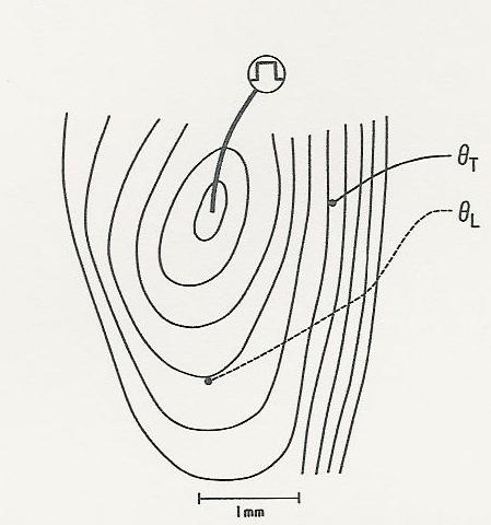 θ Τ = 0,17m/sec θ L = Σχήμα 3.