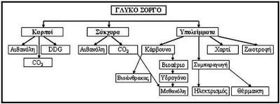 Εικόνα 52: Δυνατότητες παραγωγής ενέργειας από γλυκό σόργο.[25] Η παραγόμενη αιθανόλη μπορεί να χρησιμοποιηθεί σαν καύσιμο οχημάτων είτε σκέτη είτε μετά από ανάμιξη με τη βενζίνη.