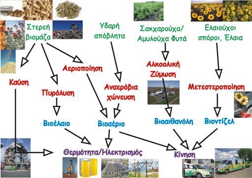 Εικόνα 10: Παραγωγή ενέργειας από τη βιομάζα 2.4.1 Καύση της βιομάζας Η απ ευθείας καύση της βιομάζας για παραγωγή θερμότητας είναι ο απλούστερος τρόπος για την ενεργειακή αξιοποίησή της.