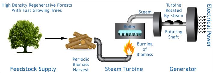 1.1.3 Εφαρμογές της βιομάζας Παραγωγή ηλεκτρικής ενέργειας. Η καύση βιομάζας με σκοπό την παραγωγή ηλεκτρικής ενέργειας εφαρμόζεται παγκοσμίως σε ευρεία μάλιστα κλίμακα.