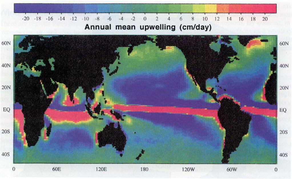 Upwelling and Downwelling Average upwelling and downwelling at the base of the Ekman layer over the years 1950