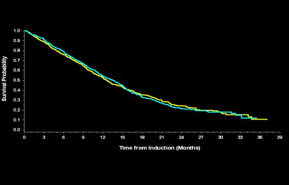 POINTBREAK Phase III Study Pem vs Bev+Pem PFS 5.6m vs 6.0 m (HR 0.83; p=0.012) OS 12.6 m vs 13.4 m (HR 1.00; p=0.