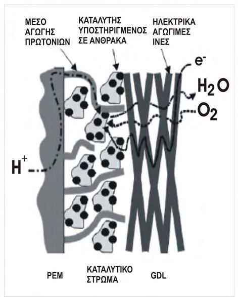 ΚΕΦΑΛΑΙΟ 2 ΚΥΨΕΛΕΣ ΚΑΥΣΙΜΟΥ (carbon cloth), είτε σε συµπαγή µορφή (carbon paper), µε πάχος 100-300µm.