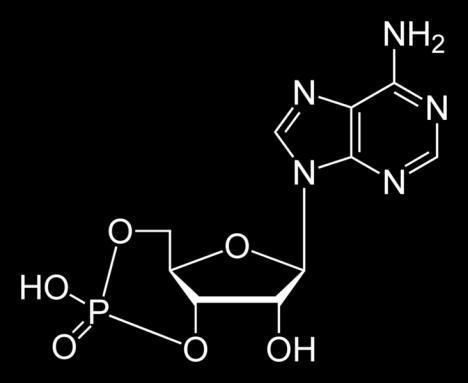 Adenosine