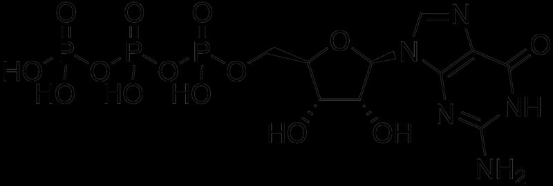 (ATP) Guanosine 
