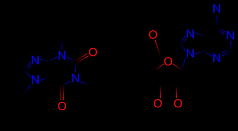 Αδενοσίνη (νουκλεοσίδης) (αδενίνη + ριβόζη) παίζει σημαντικό ρόλο στη μεταφορά ενέργειας (ATP και ADP) και στη μεταβίβαση σήματος (camp) Θεωρείται αναστολέας νευροδιαβιβαστών (προάγει τον ύπνο)