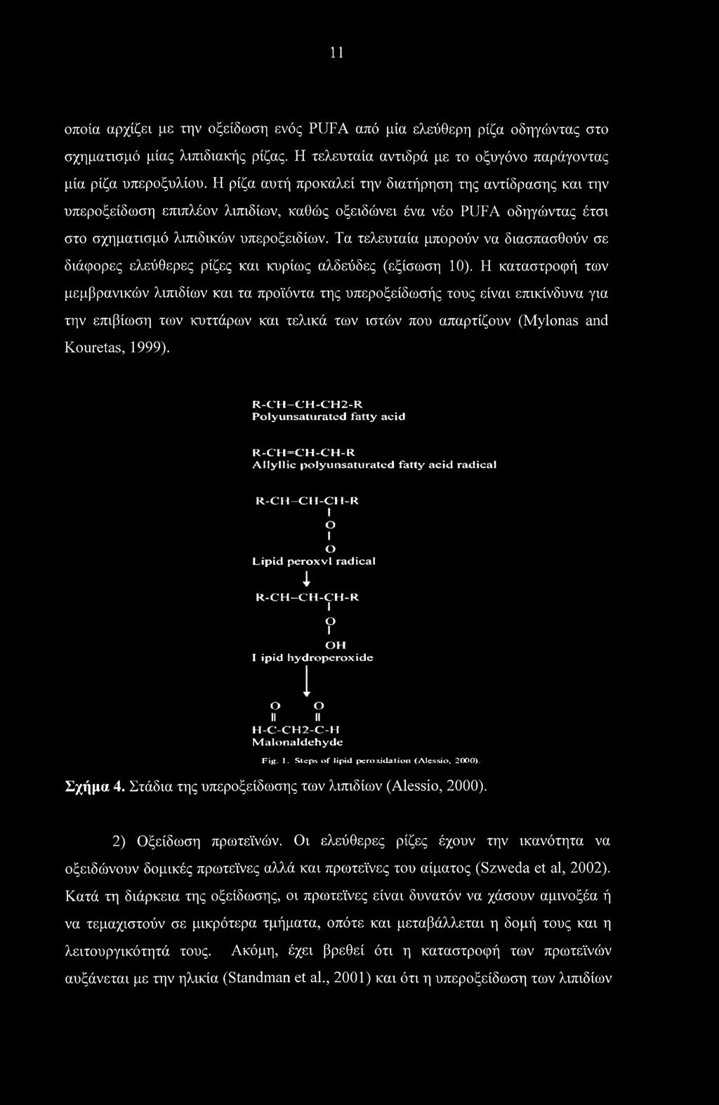 Τα τελευταία μπορούν να διασπασθούν σε διάφορες ελεύθερες ρίζες και κυρίως αλδεύδες (εξίσωση 10).