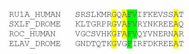 Regular Expressions PROSITE Syntax: