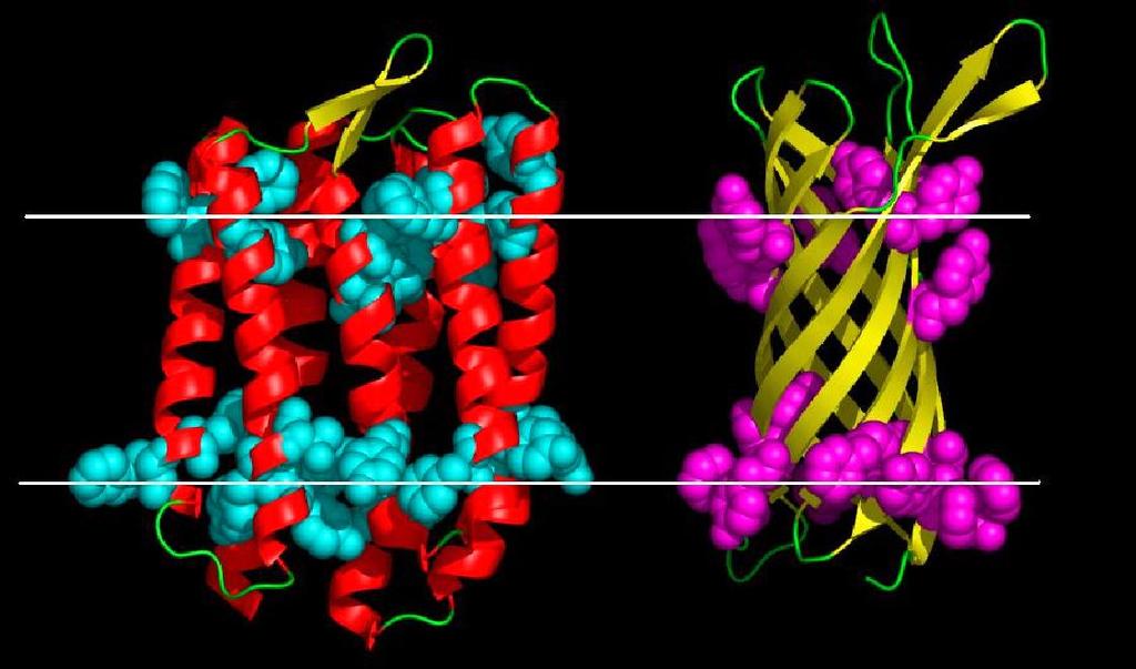 The two structural classes α-helical