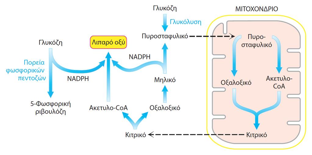 Σύνθεση των λιπαρών