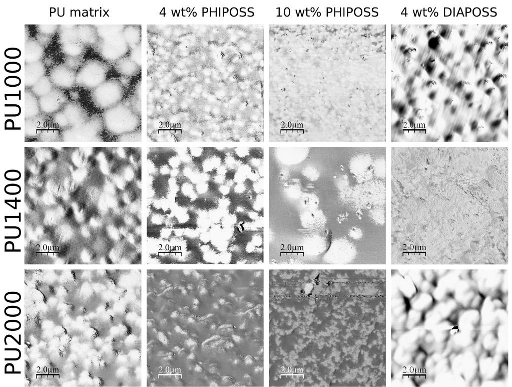 Σχήμα 2 10Χ10 μm απεικονίσεις φάσης AFM για τα ΝΠΥ PU-POSS που αναγράφονται στο σχήμα 2. Νανοσύνθετα PDMS πυριτίας.