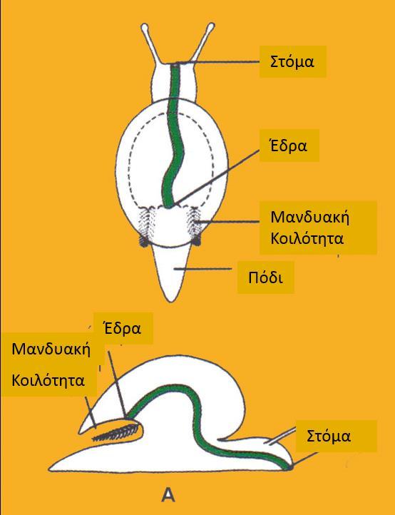 Συστροφή 23 24