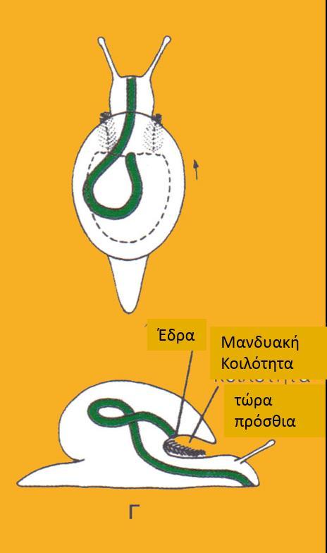 Εργαστηριακή