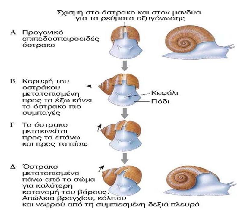 Περιέλιξη 26 Ενότητα 13: