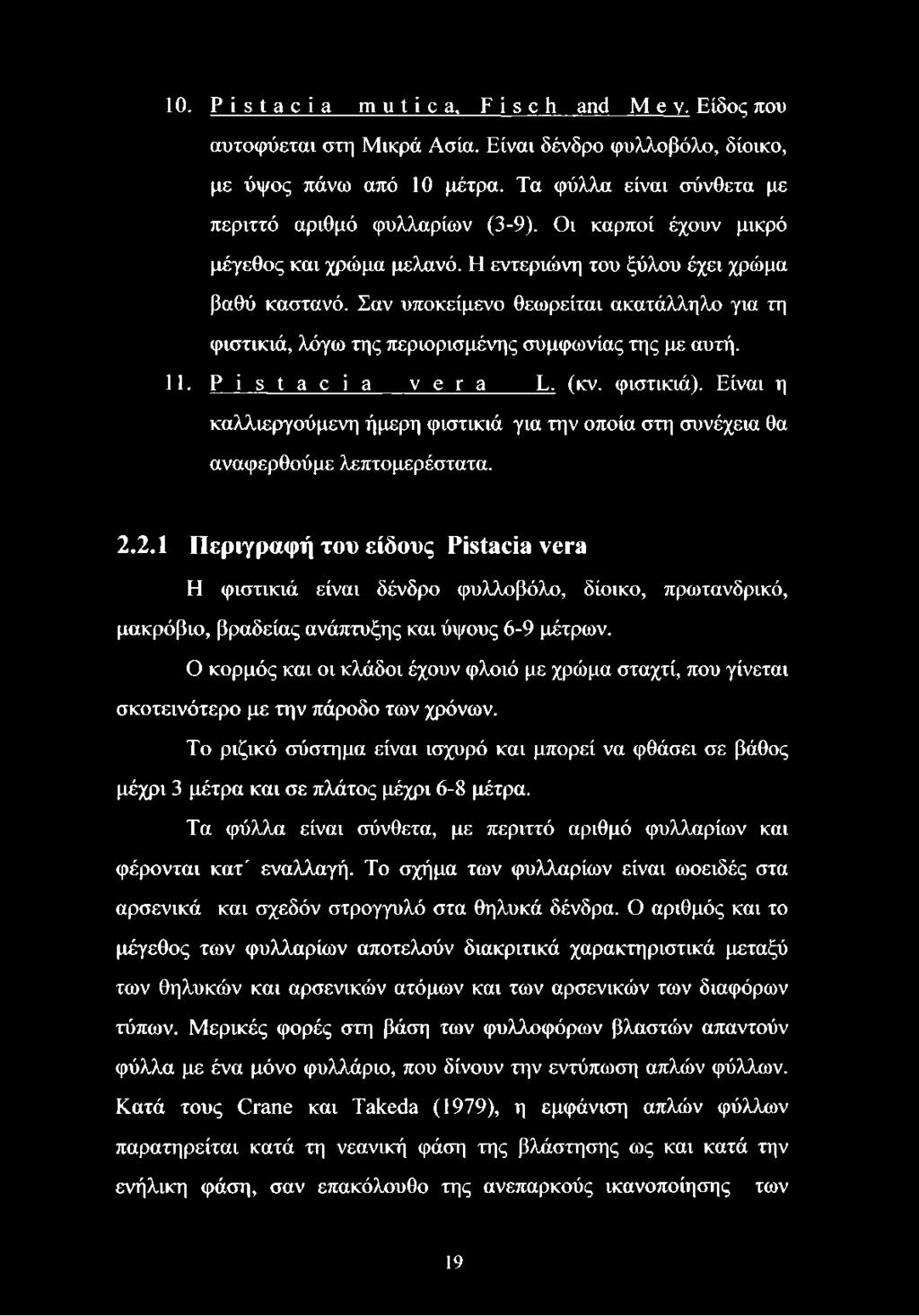 P i s t a c i a v e r a L. (κν. φιστικιά). Είναι η καλλιεργούμενη ήμερη φιστικιά για την οποία στη συνέχεια θα αναφερθούμε λεπτομερέστατα. 2.