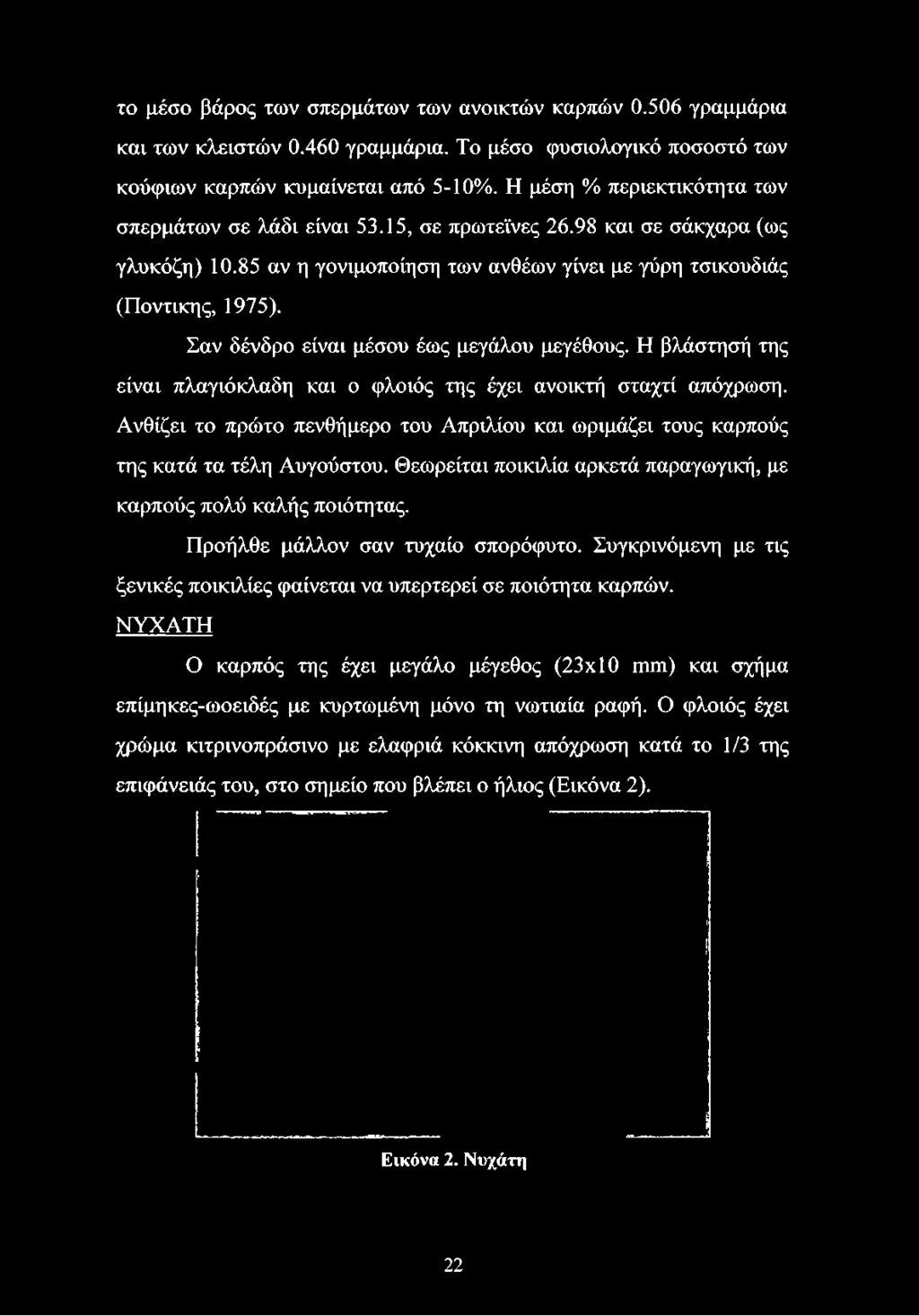 85 αν η γονιμοποίηση των ανθέων γίνει με γύρη τσικουδιάς (Ποντικής, 1975). Σαν δένδρο είναι μέσου έως μεγάλου μεγέθους.