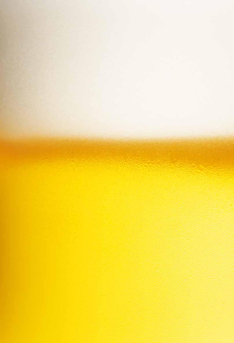 pivolend 2009 Gurmanski vikend so PIVO I ova godina na Skopskoto Kale po vtor pat - znaëi veêe tradicionalno (interesno e πto se πto poënuva da se oragnizira neπto vo Makedonija uπte od prvata godina