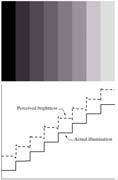 Οπτική Αντίληψη (Visual Perception) Οπτική Αντίληψη (Visual Perception) Λόγος Webber (Webber ratio) I c /I όπου 50% δεν αντιλαµβάνεται την διαφορά Μειώνεται σε χαµηλά επίπεδα φωτισµού Ραβδία