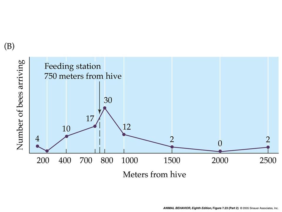 Ο χορός των μελισσών Απόσταση Εκπαιδεύτηκαν να τρέφονται σε ένα σταθμό 750 μέτρα μακριά από την κυψέλη.