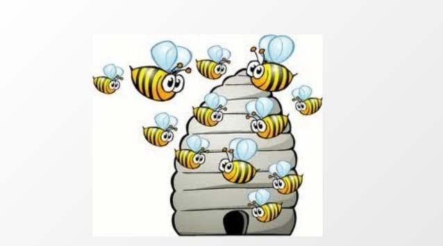 13. Που ζει η μέλισσα; Πλήρη ανάπτυξη σμήνους μελισσών σε παραδοσιακή κυψέλη, με την