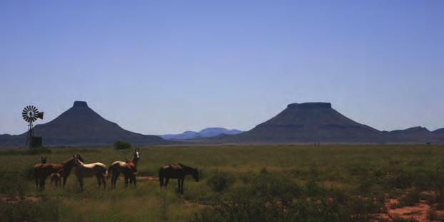 Onderwerp 1 n Ander voorbeeld uit die Karoo van landvorms wat met horisontale strata geassosieer word, is n butte. Figuur 1.