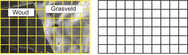 Hoe om data in ruimtelike modelle in vektorformaat te stoor Jy weet nou dat die boublokke van die rasterwêreld selle (of beeldelemente of pixels) is. In die geval van die vektorwêreld is dit punte.