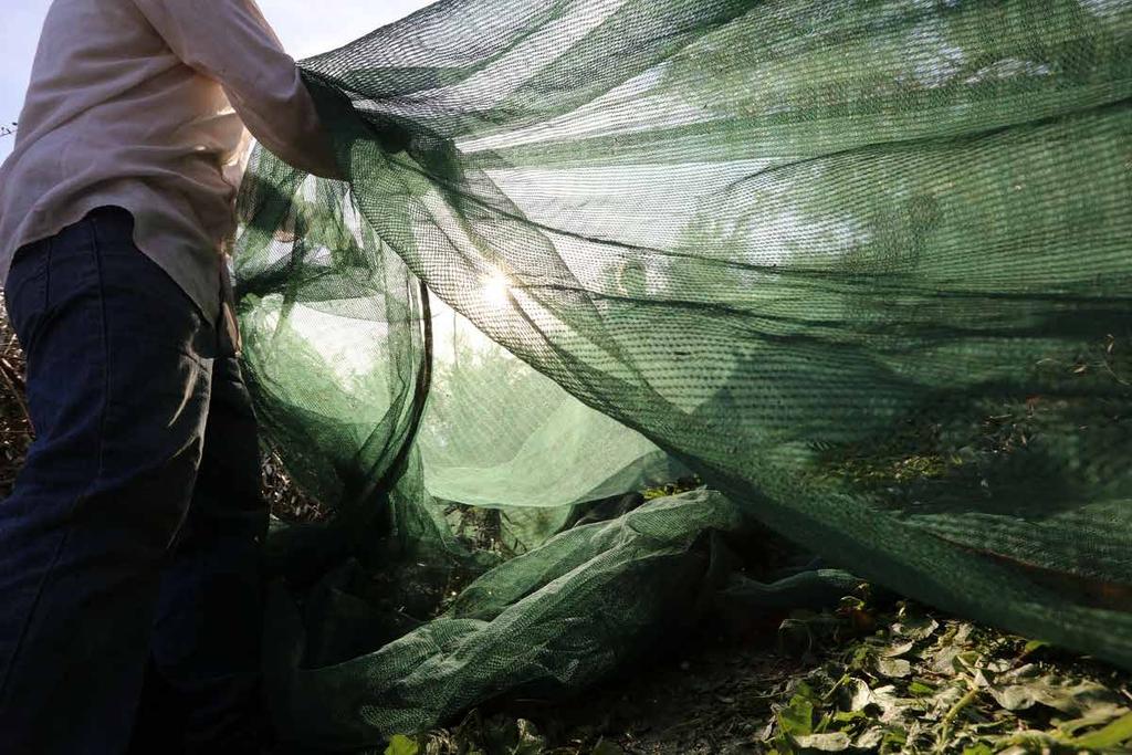 Φιλοσοφία µας είναι η ακλόνητη προσήλωση στην παραγωγή αγαθών της φύσης στην πιο υψηλή ποιότητα.