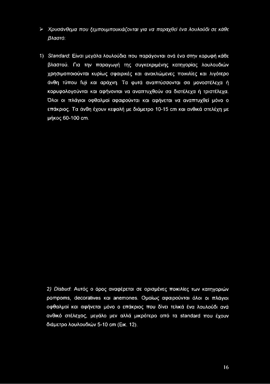 Για την παραγωγή της συγκεκριμένης κατηγορίας λουλουδιών χρησιμοποιούνται κυρίως σφαιρικές και ανακλώμενες ποικιλίες και λιγότερο άνθη τύπου fuji και