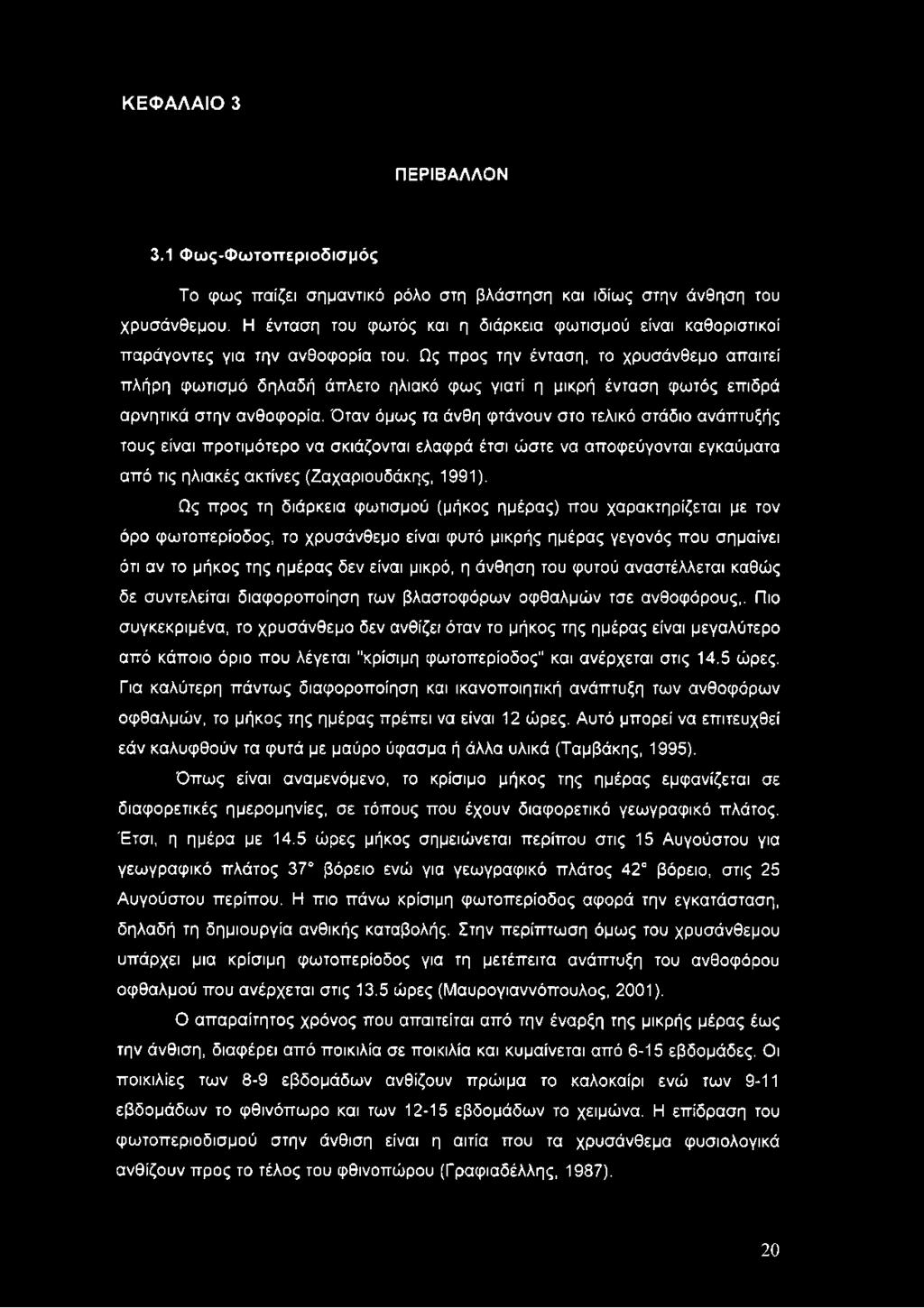 Ως προς την ένταση, το χρυσάνθεμο απαιτεί πλήρη φωτισμό δηλαδή άπλετο ηλιακό φως γιατί η μικρή ένταση φωτός επιδρά αρνητικά στην ανθοφορία.