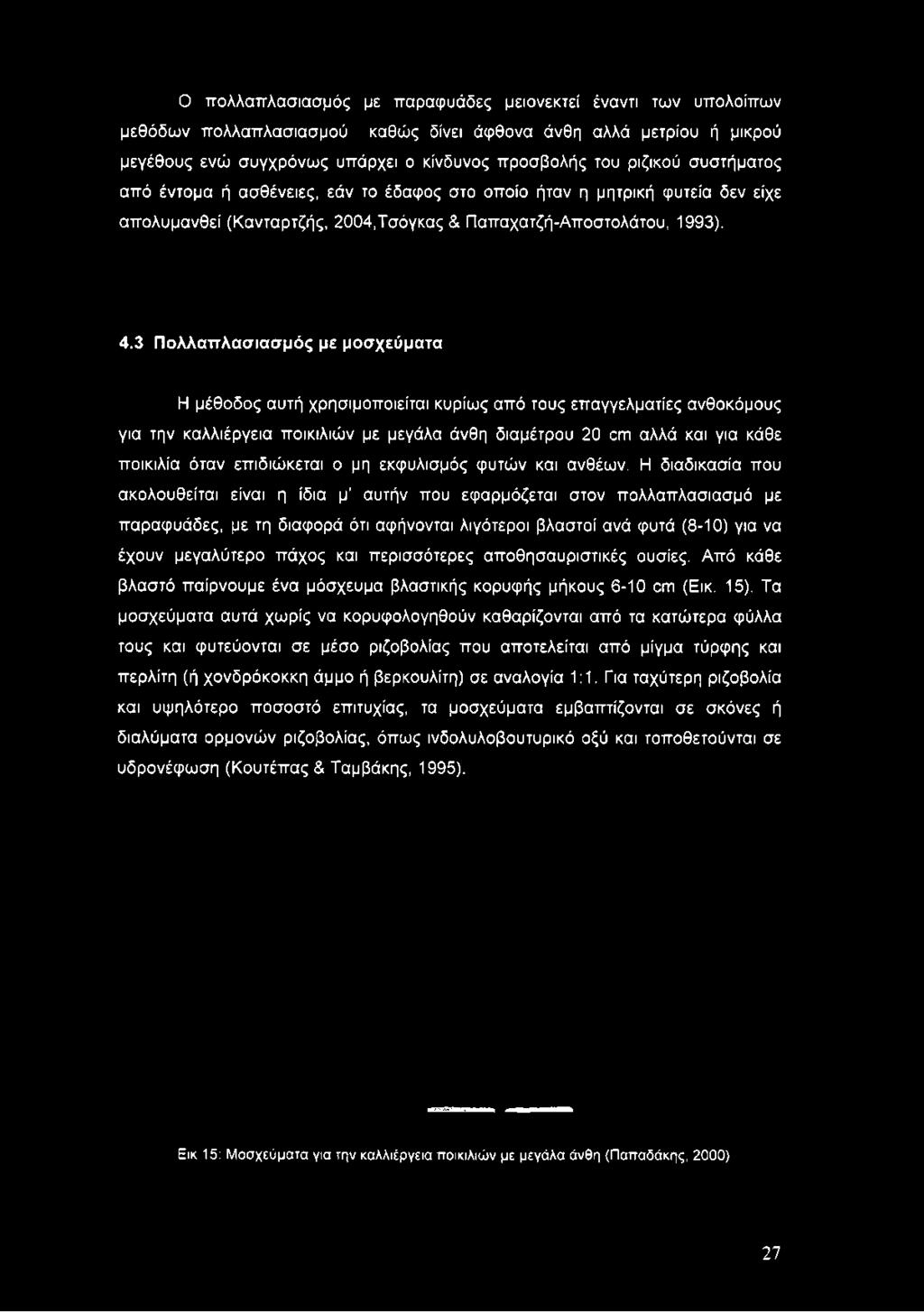 3 Πολλαπλασιασμός με μοσχεύματα Η μέθοδος αυτή χρησιμοποιείται κυρίως από τους επαγγελματίες ανθοκόμους για την καλλιέργεια ποικιλιών με μεγάλα άνθη διαμέτρου 20 οπι αλλά και για κάθε ποικιλία όταν