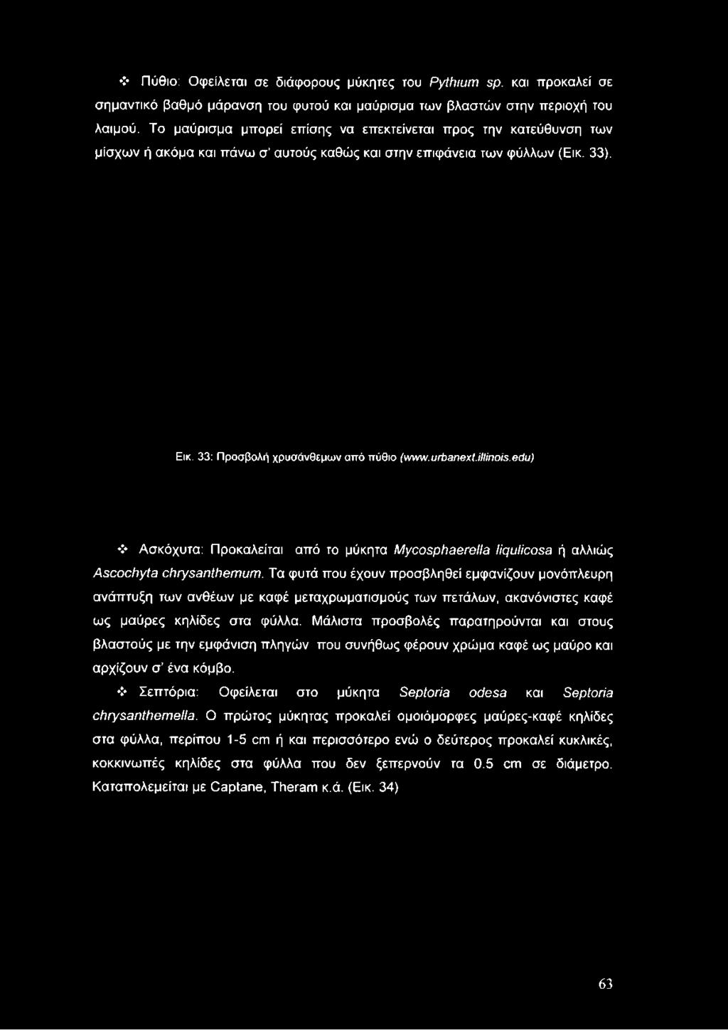 Πύθιο: Οφείλεται σε διάφορους μύκητες του ΡγίΙιΐίΐιν ερ. και ττροκαλεί σε σημαντικό βαθμό μάρανση του φυτού και μαύρισμα των βλαστών στην περιοχή του λαιμού.