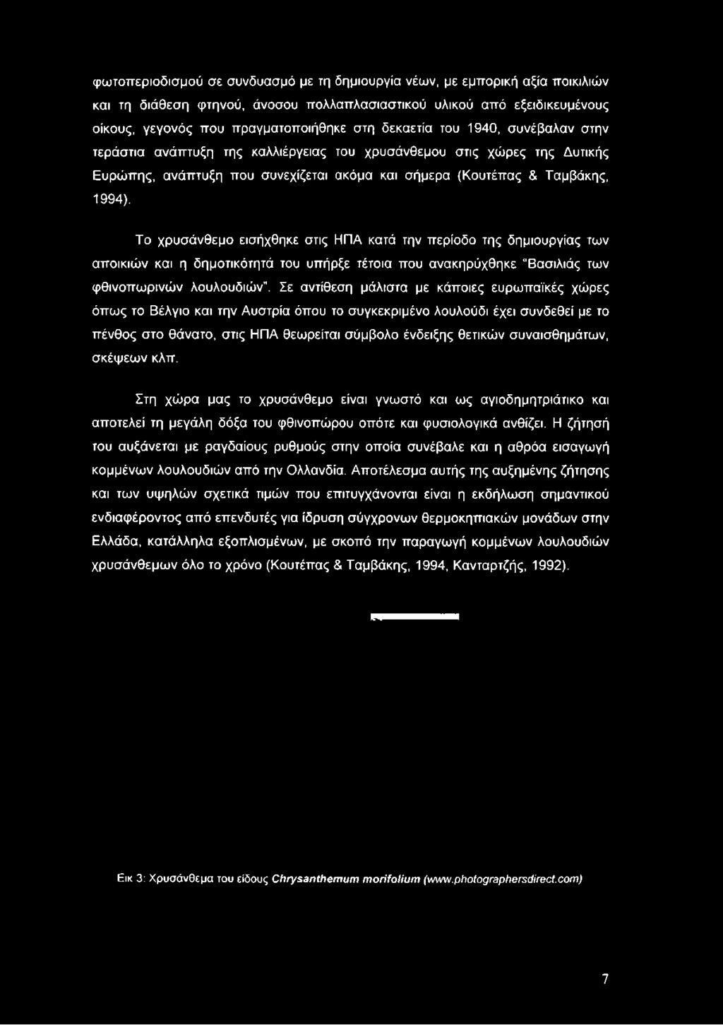 Το χρυσάνθεμο εισήχθηκε στις ΗΠΑ κατά την περίοδο της δημιουργίας των αποικιών και η δημοτικότητά του υπήρξε τέτοια που ανακηρύχθηκε Βασιλιάς των φθινοπωρινών λουλουδιών.