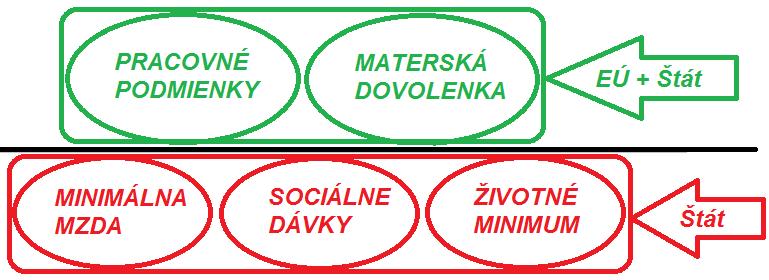 ochrana spotrebiteľa, politika na podporu hospodárskej a sociálnej súdržnosti, vízová a prisťahovalecká politika. 17 Typickým príkladom je oblasť sociálnej politiky.