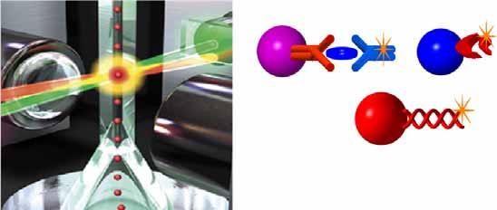 Multiple assays Περισσότεροι από ένας προσδιορισμοί (εξετάσεις)