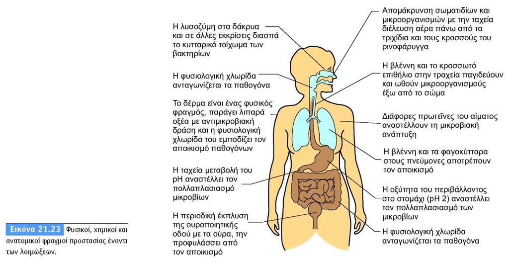 Η ικανότητα ενός παθογόνου να προκαλεί ασθένεια ποικίλει ανάλογα με το ζωικό είδος που μολύνει και τον τρόπο επιμόλυνσης (πχ ο άνθρακας σκοτώνει αγελάδες, πρόβατα αλλά όχι τα πτηνά.