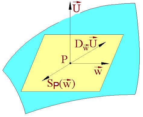 Fie M o suprafaţă, X un câmp vectorial euclidian definit pe M şi v un vector tangent la M în punctul P. Vectorul D w X se numeşte derivata covariantă a lui X pe suprafaţa M.