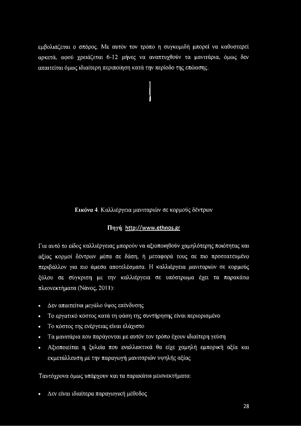 περίοδο της επώασης. Εικόνα 4. Καλλιέργεια μανιταριών σε κορμούς δέντρων Πηγή: http://www.ethnos.