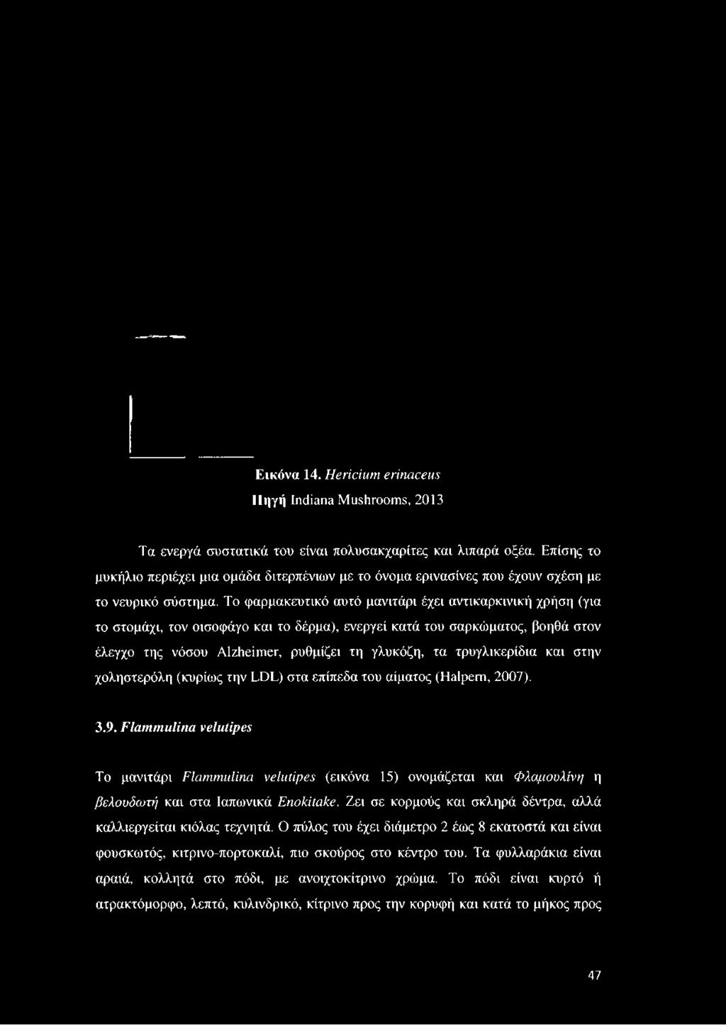 Το φαρμακευτικό αυτό μανιτάρι έχει αντικαρκινική χρήση (για το στομάχι, τον οισοφάγο και το δέρμα), ενεργεί κατά του σαρκώματος, βοηθά στον έλεγχο της νόσου Alzheimer,