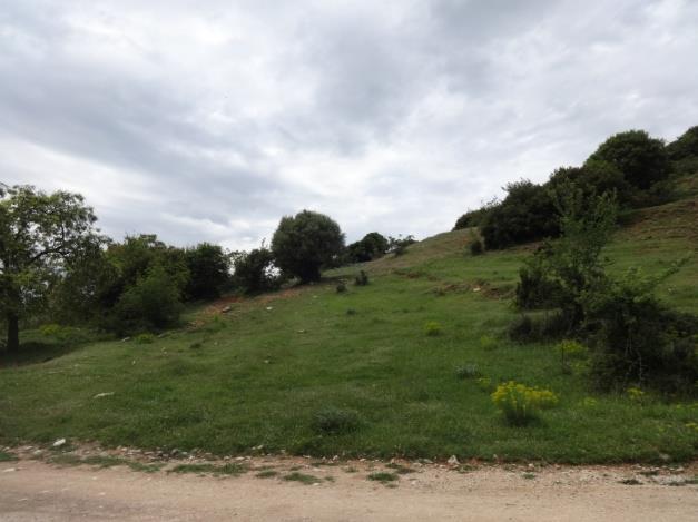 Εικόνα 85 Το 6 ο ρηξιγενές πρανές έχει παράταξη ΒΔ ΝΑ 