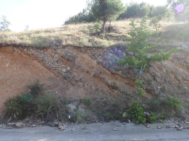 Εικόνα 87 Το 5 ο ρηξιγενές πρανές παράταξης ΒΔ ΝΑ  Η