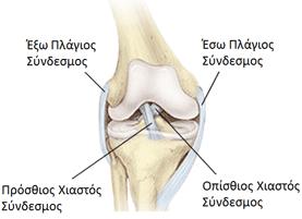 Εικόνα 1 10: Χιαστοί και πλάγιοι σύνδεσμοι {10} 1.2.