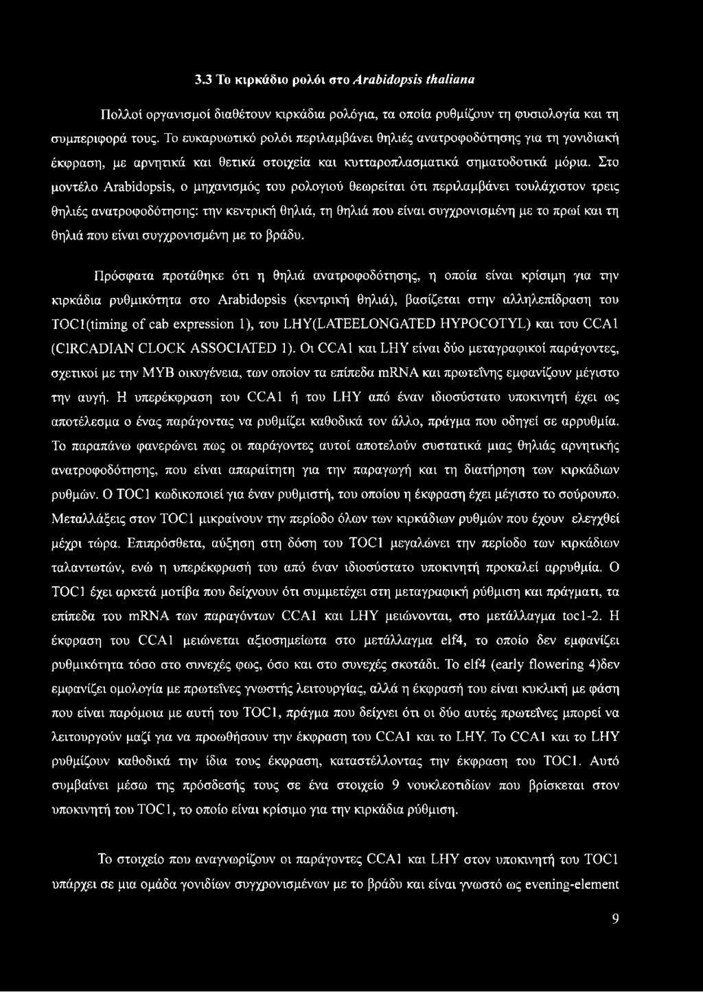 Στο μοντέλο Arabidopsis, ο μηχανισμός του ρολογιού θεωρείται ότι περιλαμβάνει τουλάχιστον τρεις θηλιές ανατροφοδότησης: την κεντρική θηλιά, τη θηλιά που είναι συγχρονισμένη με το πρωί και τη θηλιά