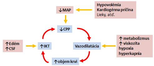 AIM Strana 54 môžeme sem zaradiť akékoľvek expanzívne procesy v dutine lebečnej difúzne edém hydrocefalus patologické ložisko nenárdorové expanzívne procesy (ischémia, zápal, krvácanie, cysty) nádor
