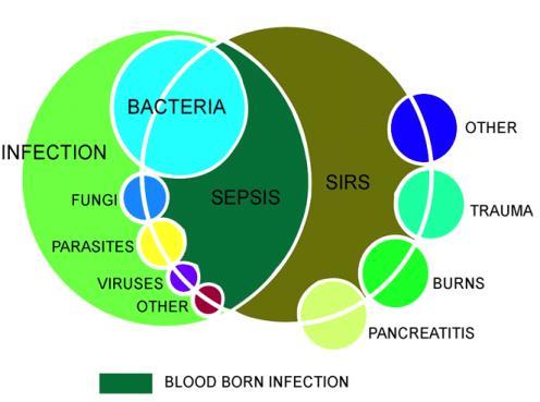 AIM Strana 67 30. SIRS, sepsa, ťažká sepsa, syndróm orgánovej dysfunkcie - definícia, terapia, prevencia 14.