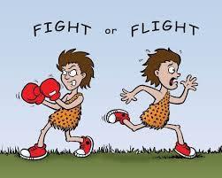 «fight or flight»